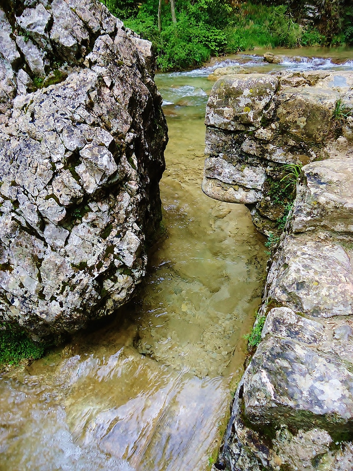 River water nature
