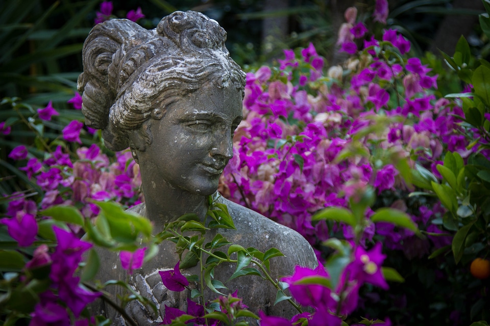 Garden plant woman