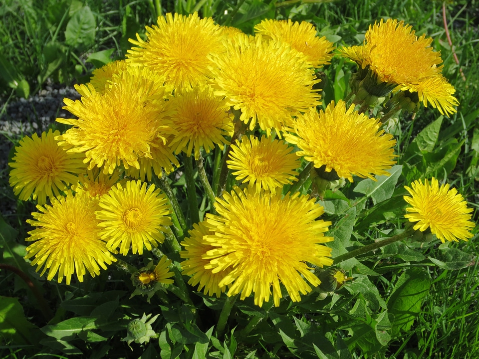 Field warm beautiful