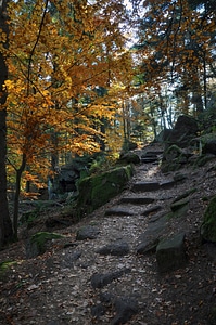 Stones slope forest photo