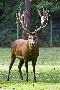 Handsome graze wildlife park
