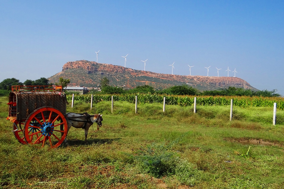 Karnataka india landscape