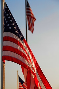 Flags american us photo