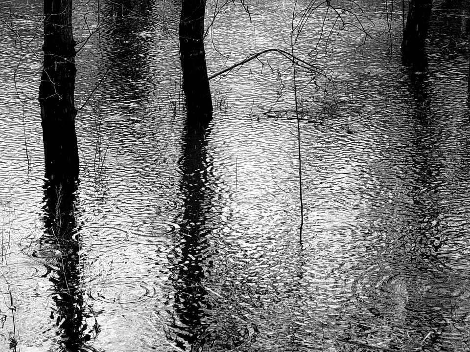 Puddle flood old rhine