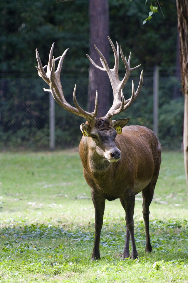 Handsome graze wildlife park