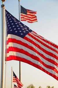 Flags american us photo