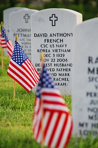 Flags graveyard memorial photo