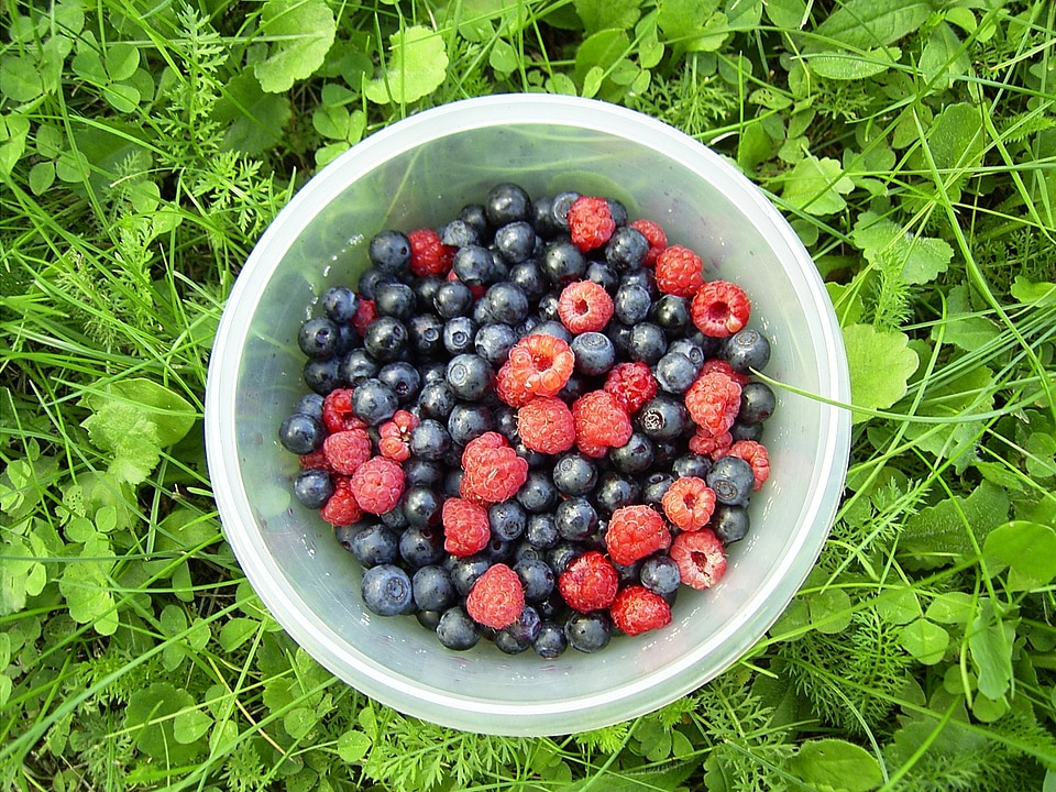 Berry raspberry blueberry