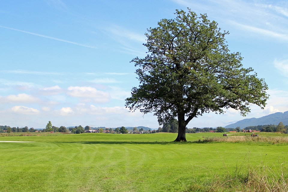 Individually meadow distant view