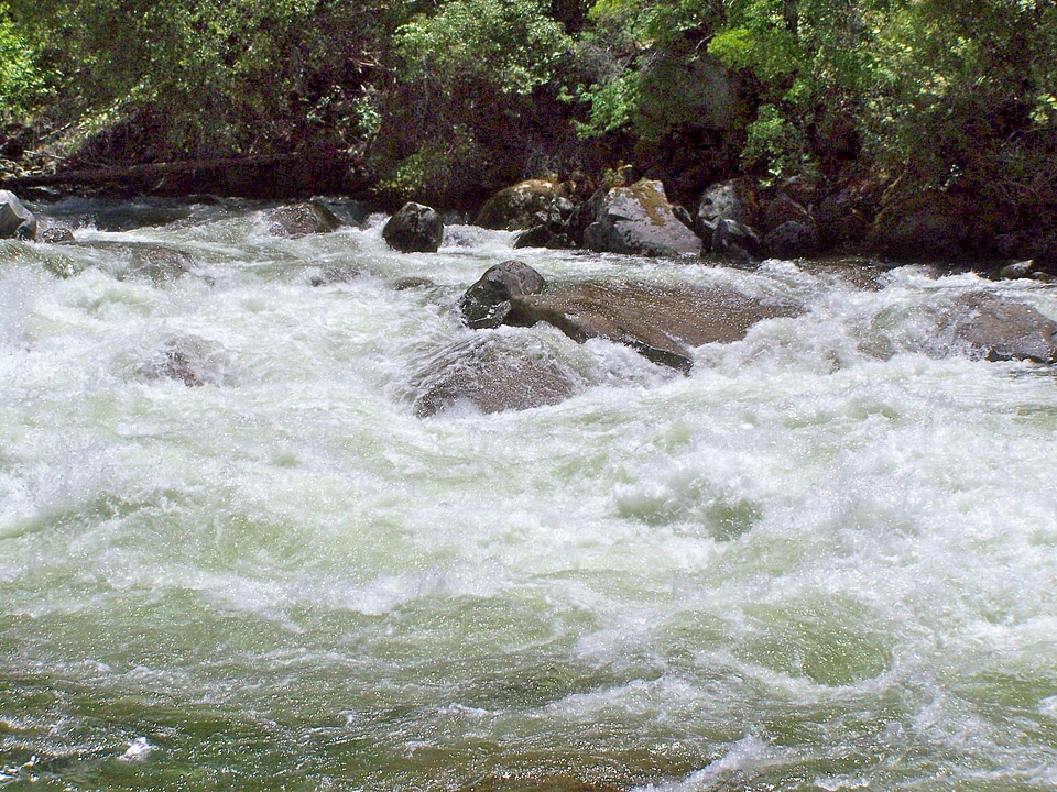 Landscape natural creek