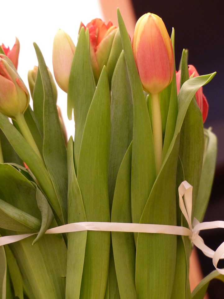 Spring bouquet tulip bouquet