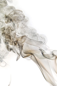 Gray abstract smoke on white