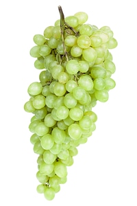 Grape