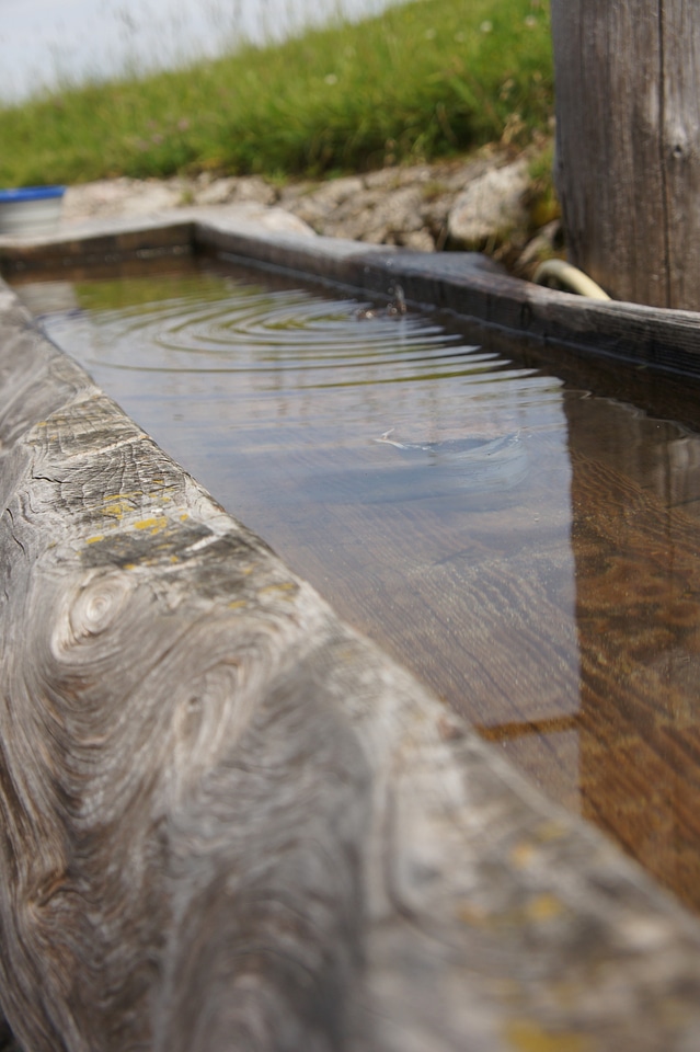 Animal soak water