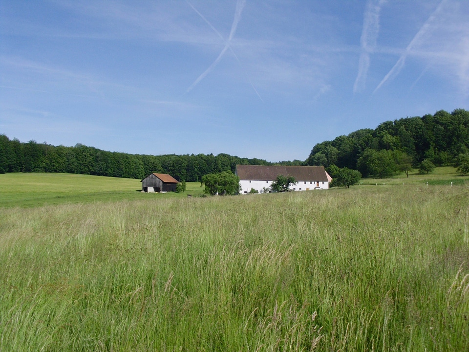 Barns farm rural