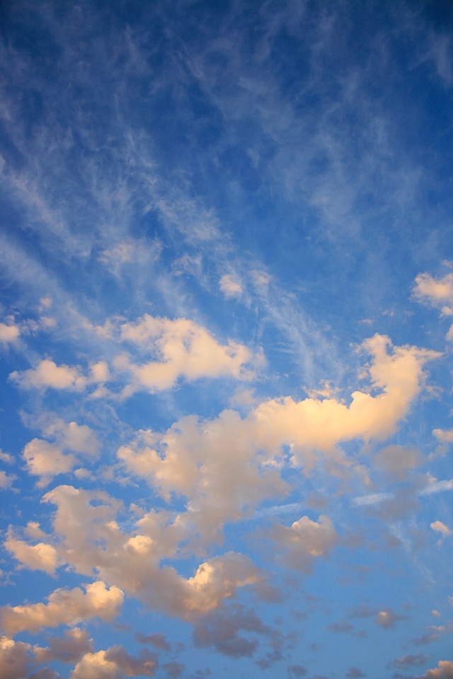 Sky