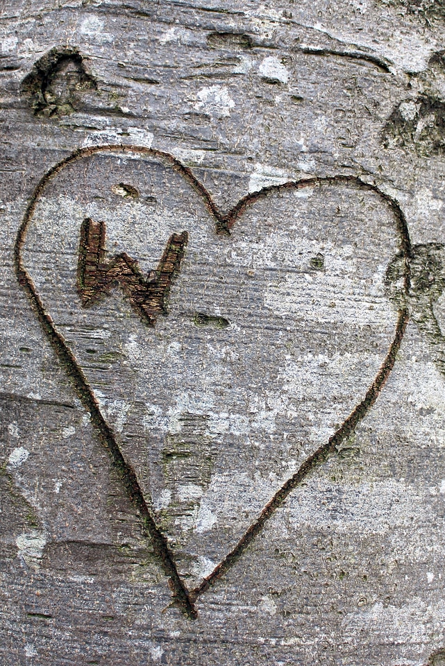 Symbol engraved eingeritzter tree
