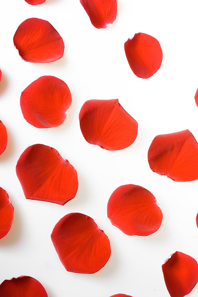 Rose petals
