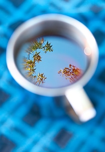 Cup with sky photo