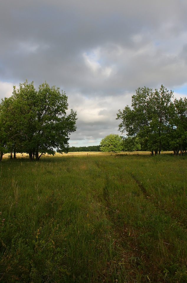 Nature