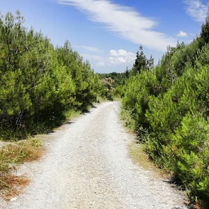 road