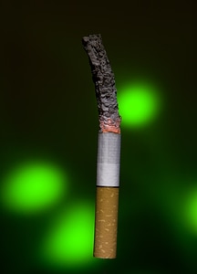 Burned down cigarette photo
