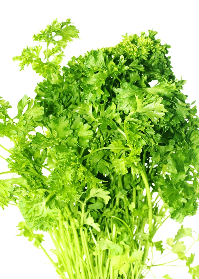 Herb leaves background