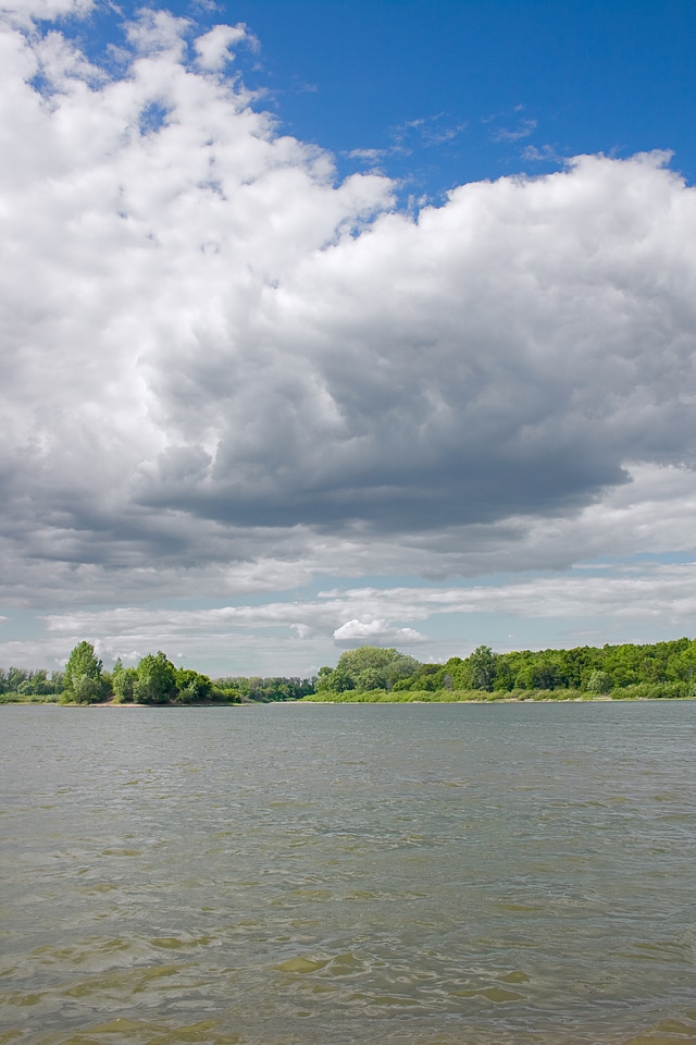 Summer landscape