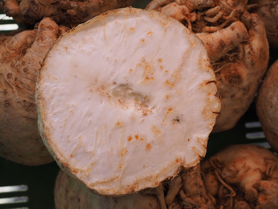 Vitamins celeriac turnip