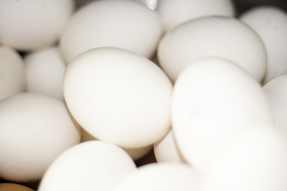 Eggs