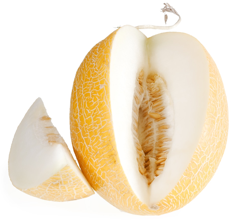 melon