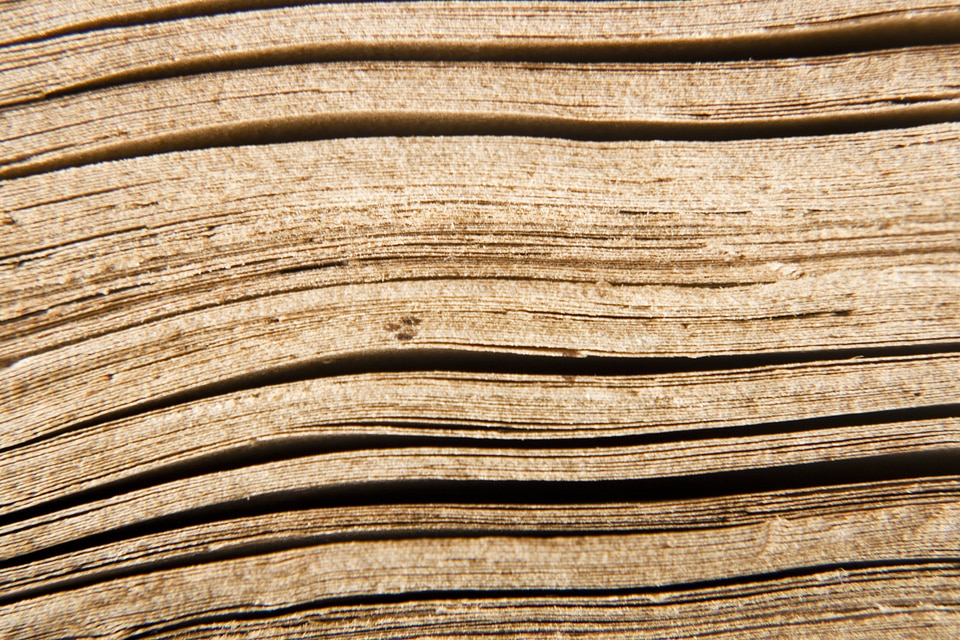 Wood background photo