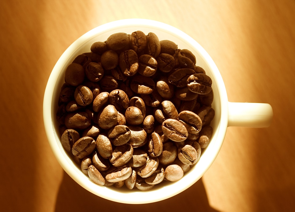 Cup of Coffee Beans photo