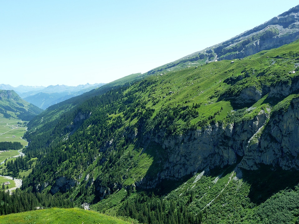 Mountains tree green photo