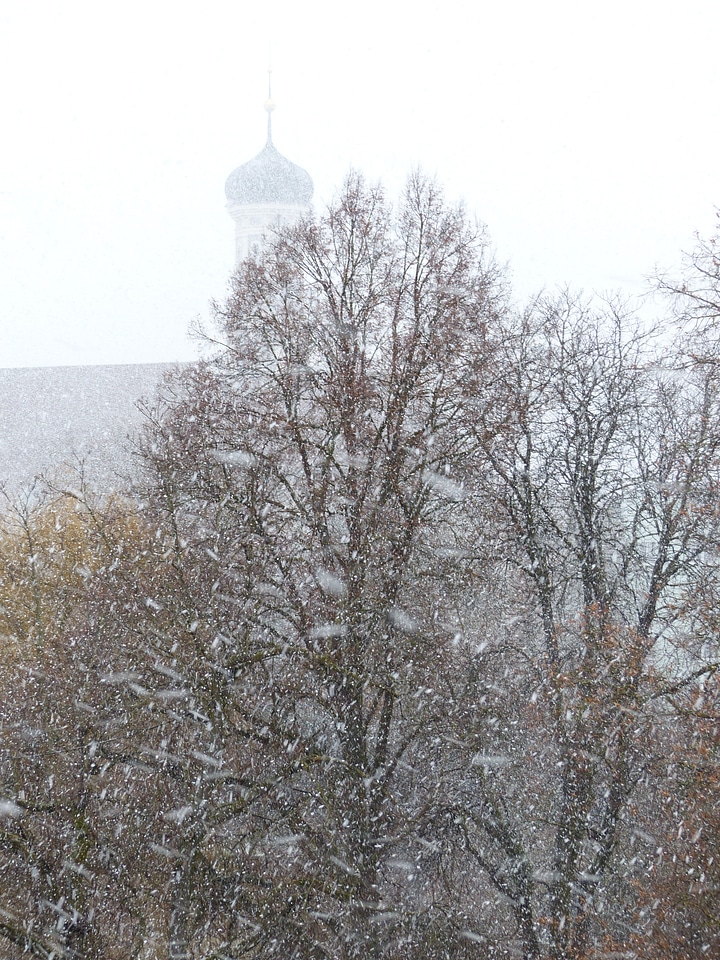 Snowfall snow storms winter