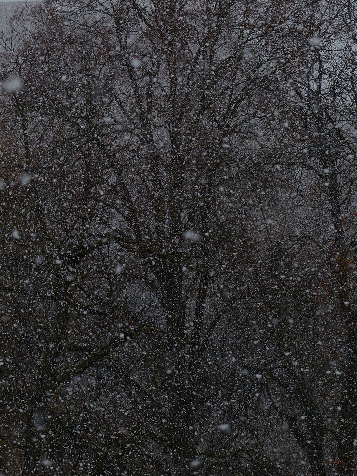Snowfall snow storms winter