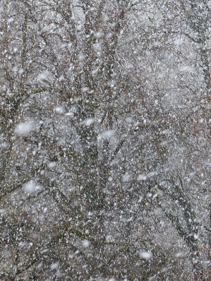 Snowfall snow storms winter