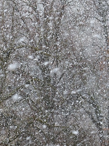 Snowfall snow storms winter