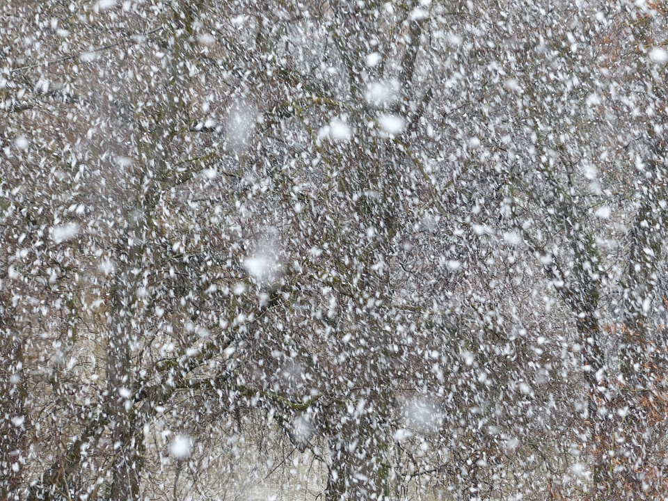 Snowfall snow storms winter