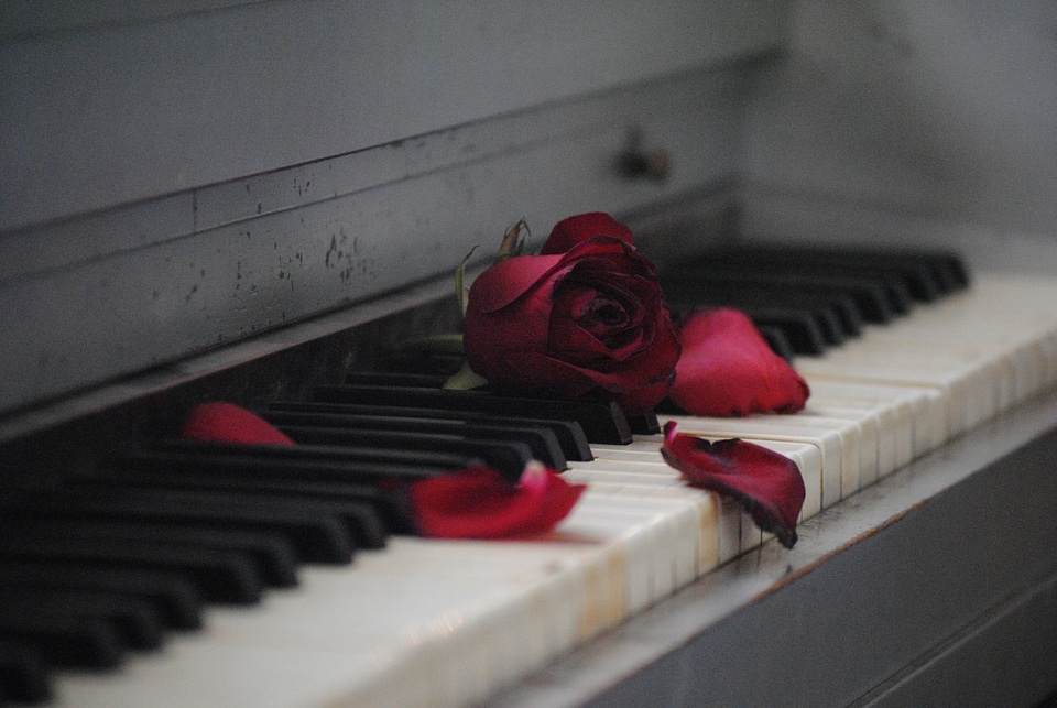 Flower love romance
