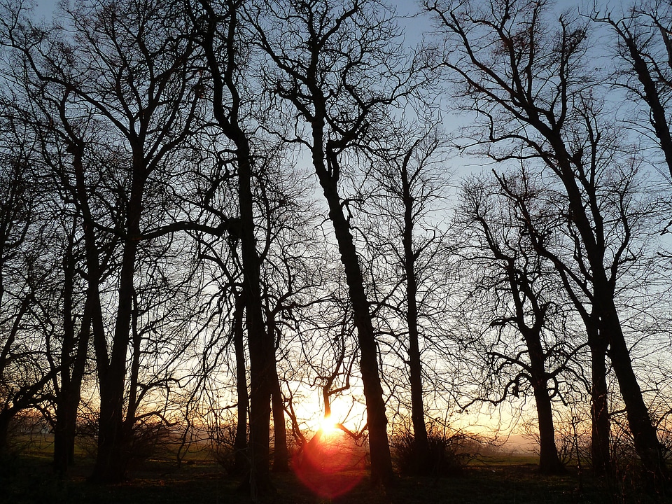 Sunny great britain evening