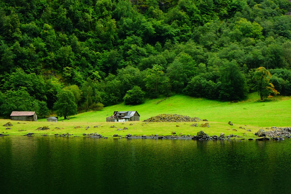 Norway songne nordic