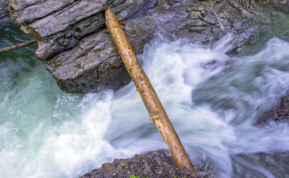 Clammy river nature