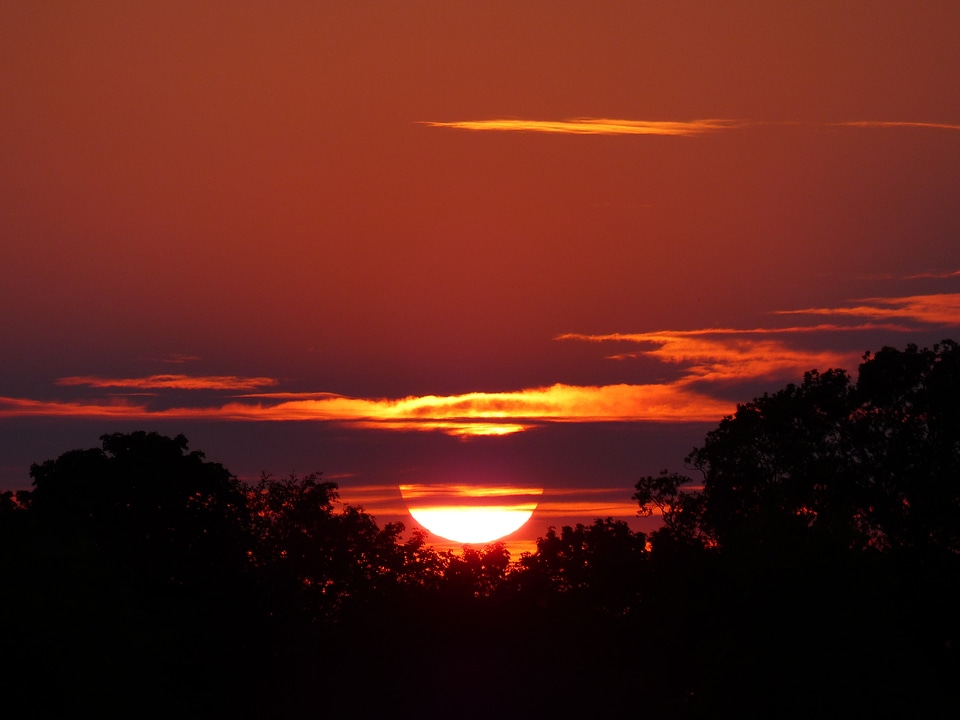 Nature landscape east frisia
