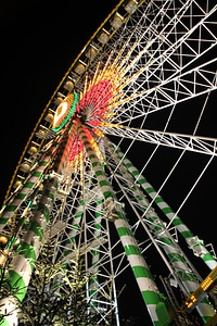 Rides folk festival night