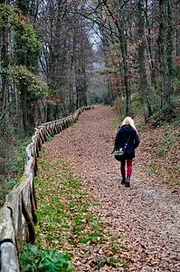 Woman forest solitude