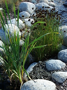 Water green brown