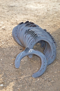 Iron grey blacksmith