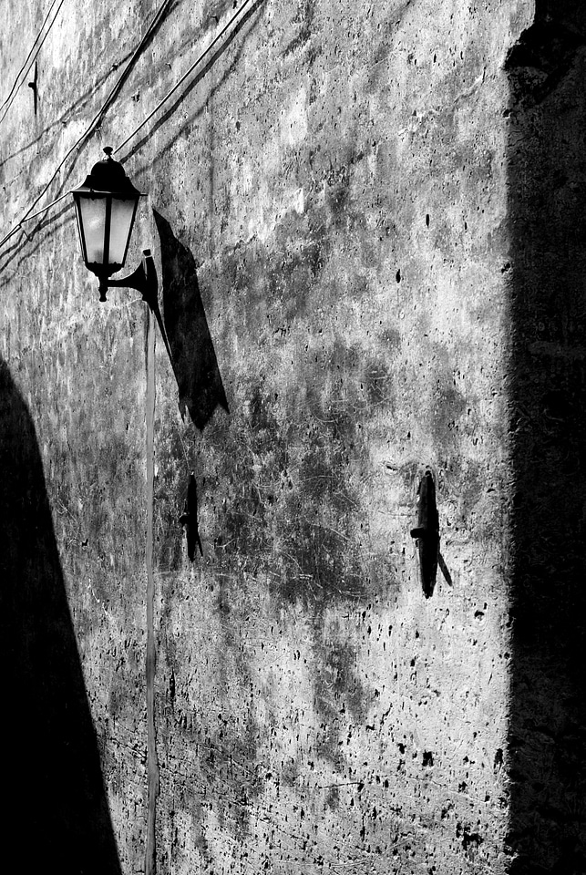 The mottled light and shadow black and white