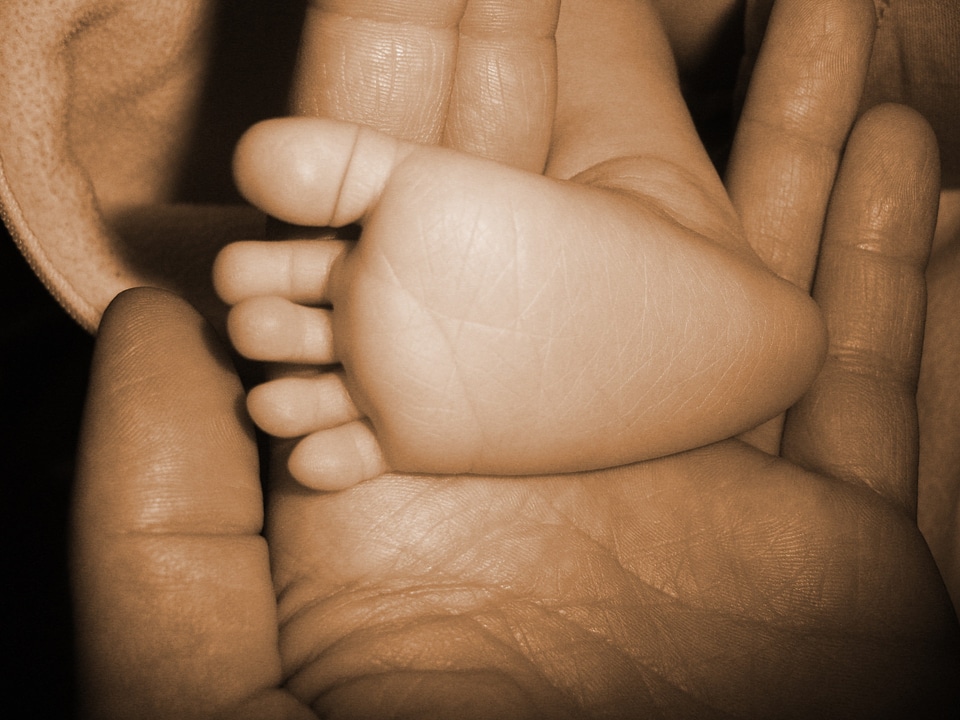 Children rest infant photo